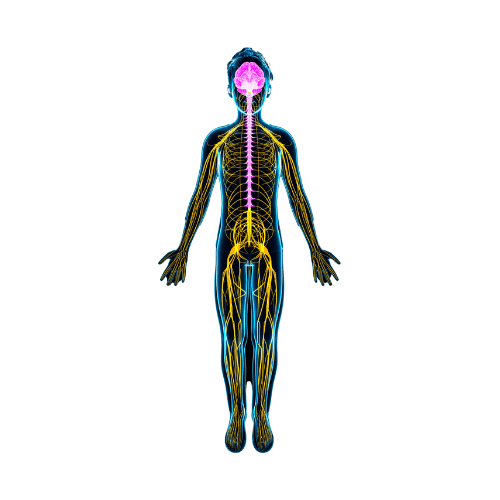 Neurogenic (Neuropathic) Pain