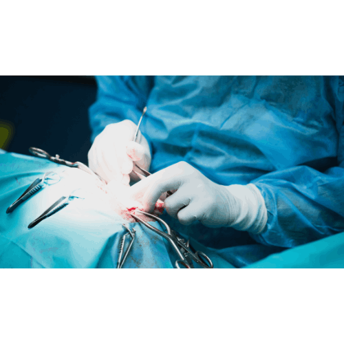 Surgery for Spinal Disc Conditions